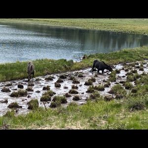 Meet your Posher, Max